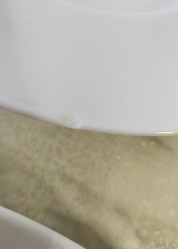 Beyaz Derin Yemek Tabağı - Görsel 8