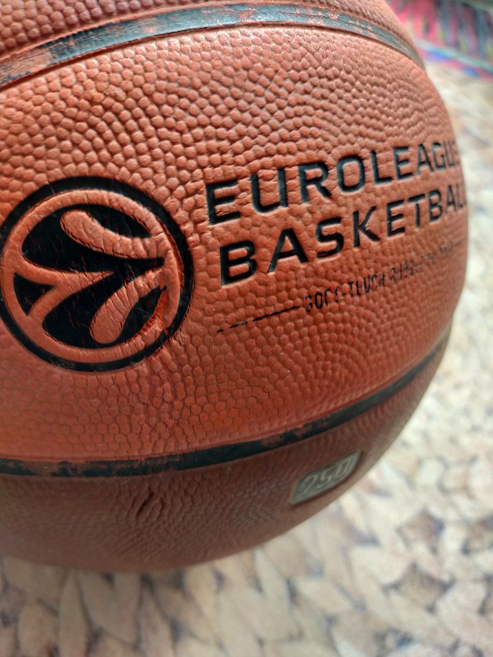 Nike Euroleague Basketbol Topu Kahverengi - Görsel 2