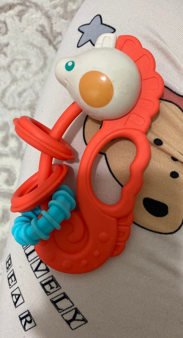 Renkli Denizatı Diş Kaşıyıcı ve Çıngırak - Görsel 2