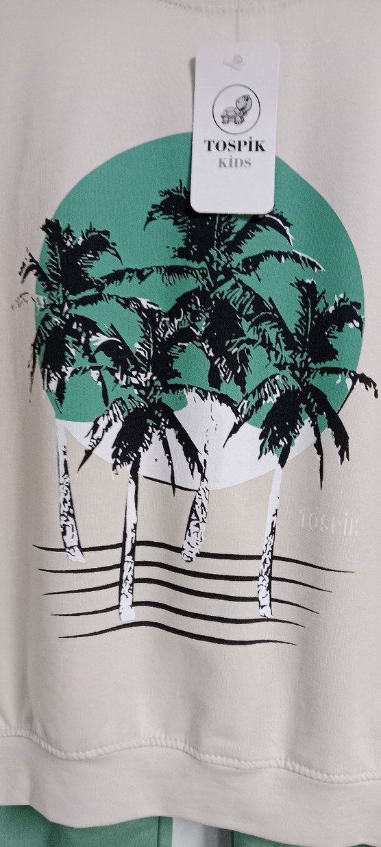 Erkek Çocuk Baskılı Sweatshirt ve Yeşil Eşofman altı - Görsel 3