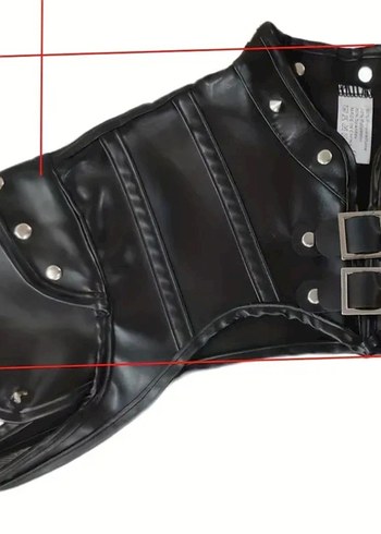 Siyah Gotik deri kostüm - Görsel 5