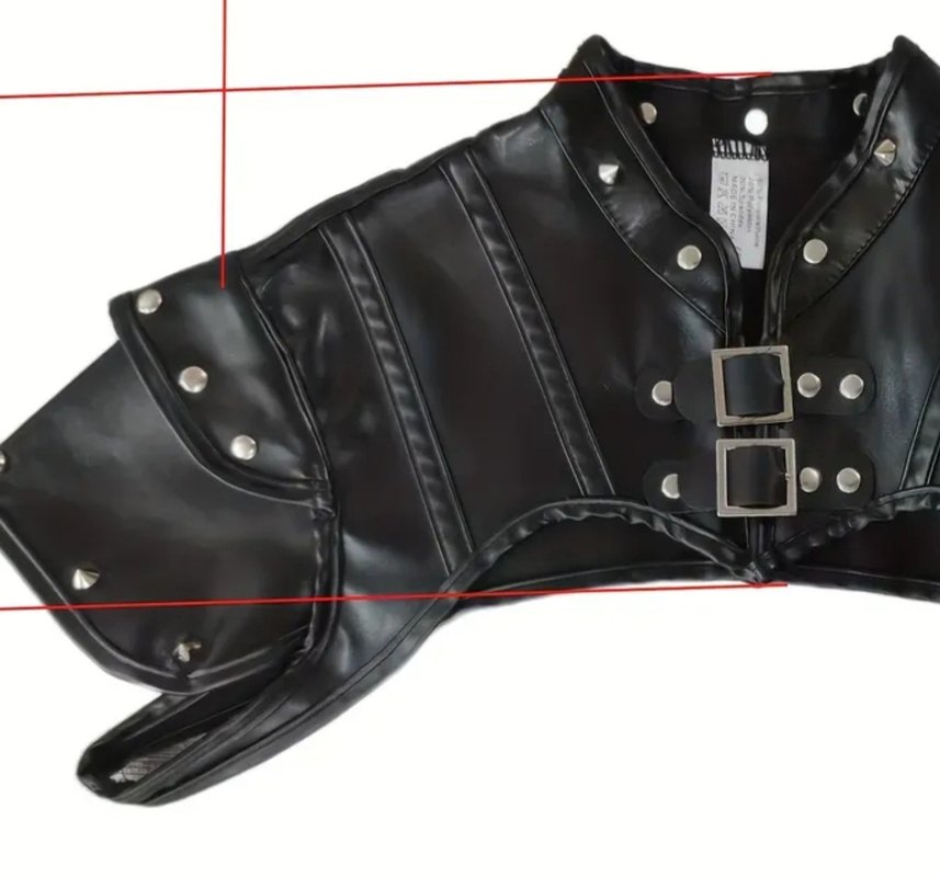 Siyah Gotik deri kostüm - Görsel 5