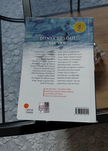 Dünya Büyülü Bir Yer - David Almond - Görsel 2