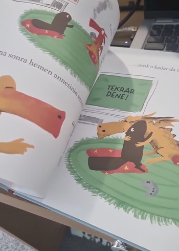 Beden Renk Çocuk Kitapları: Tırtık Tutuyor & İyi Geceler Bozi