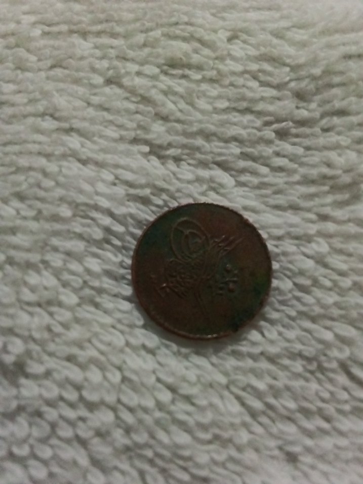 Vintage Parlak Kahverengi Erkek Rozeti - Görsel 5