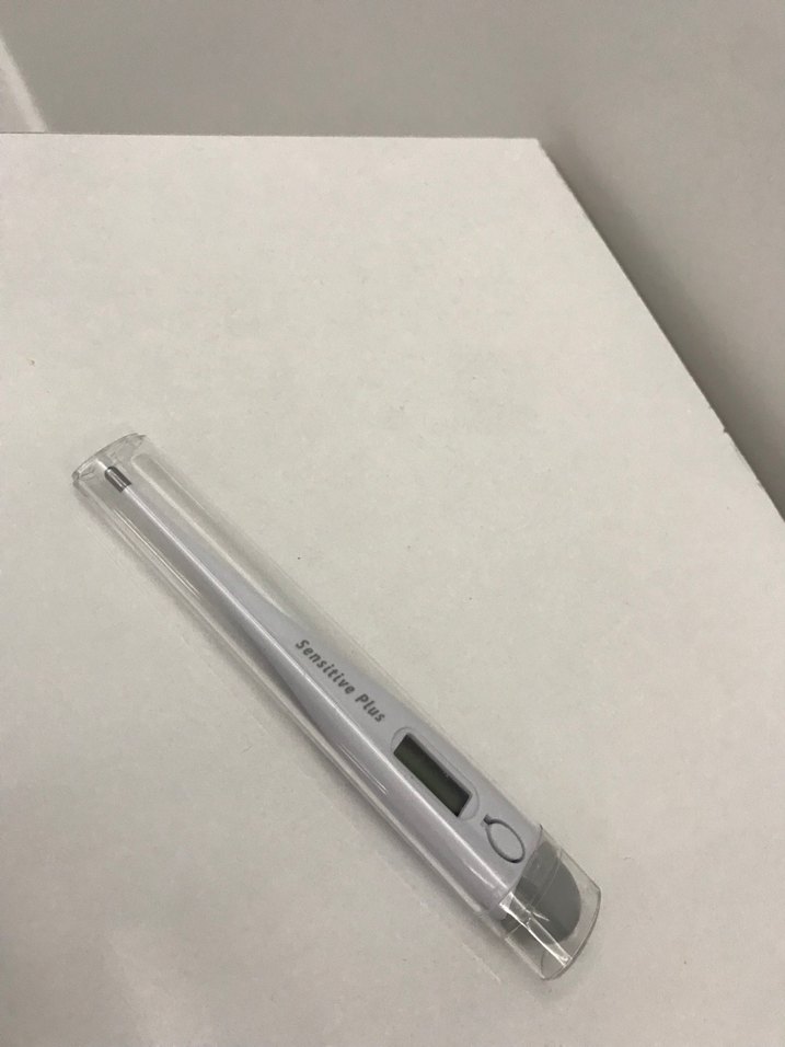 Dijital Hassas Termometre - Görsel 2