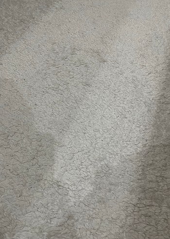 Beyaz Gri Düz Modern Halı - Görsel 2