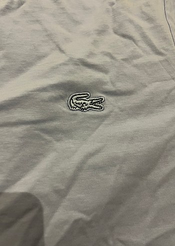 Lacoste tişört - Görsel 3