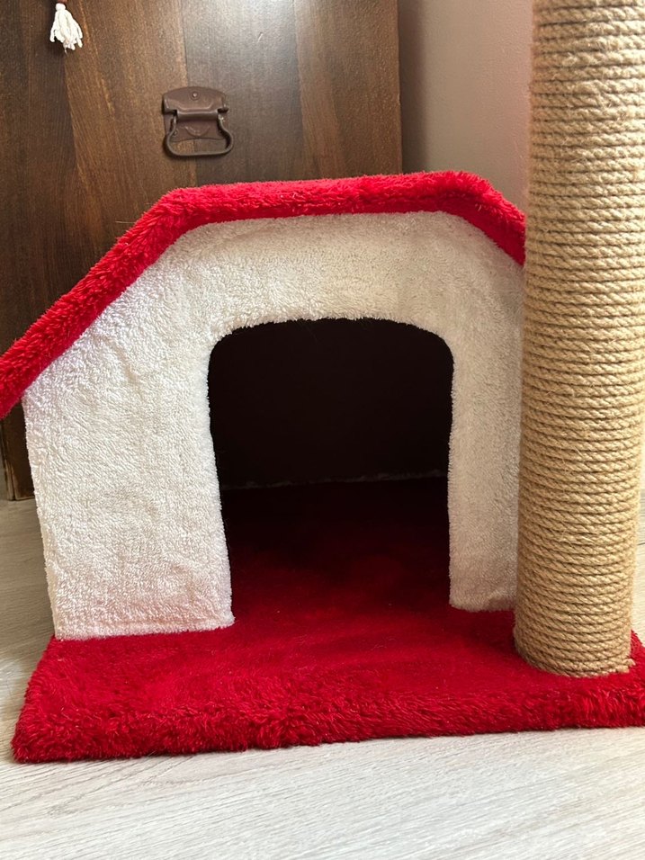 Kırmızı Renkli Kedi Evi ve Tırmalama Direği - Görsel 2