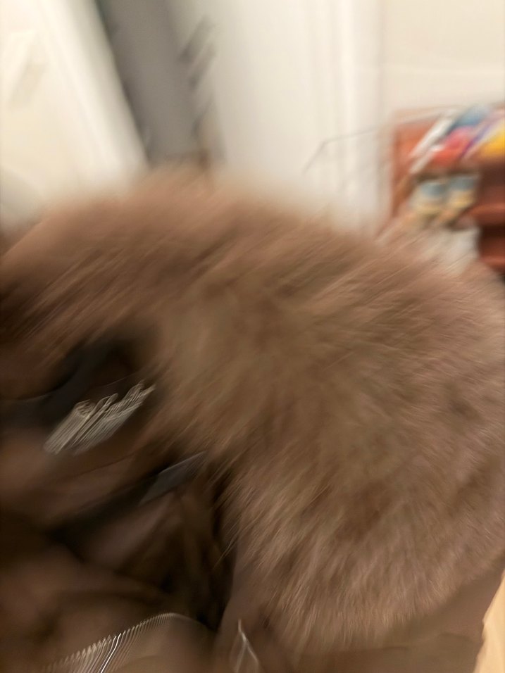 Kahverengi Kadın Kürklü Kış Montu - Görsel 3