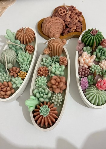 Pastel Renkli Sukulent Tasarımlı Mum Seti - Görsel 2