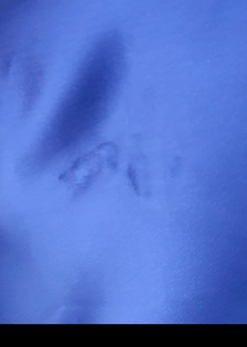 Mavi Drapeli Kadın Uzun Abiye Elbise - Görsel 6