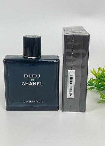 Chanel Chanel blue erkek parfümü 