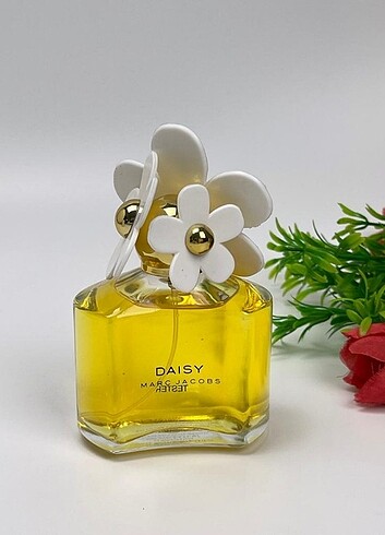  Beden Marc Jacob's daisy parfüm 