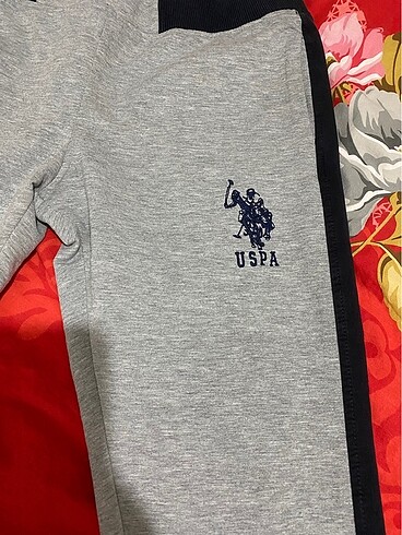 U.S Polo Assn. Eşofman altı