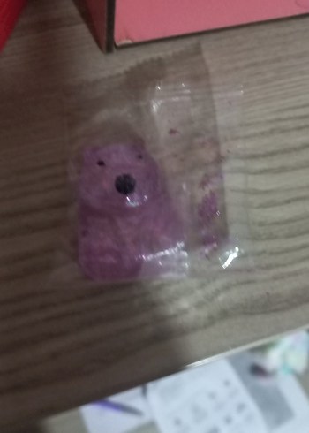 TAVA SUKUSI - Görsel 4