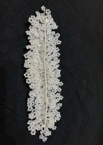 Gelin Tacı - Görsel 4