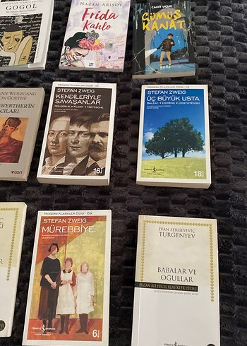 Dünya klasikleri - Görsel 4