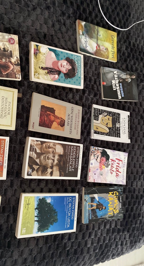 Dünya klasikleri - Görsel 2