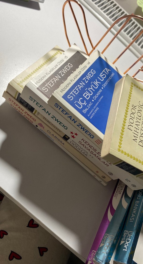 Stefan Zweig ve Klasik Edebiyat Roman Seti - Görsel 3