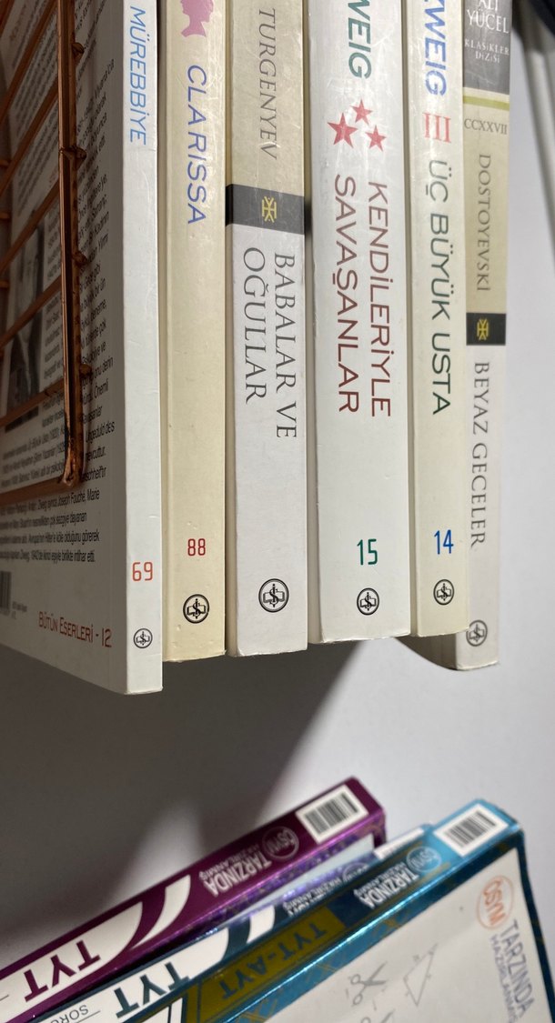 Stefan Zweig ve Klasik Edebiyat Roman Seti - Görsel 2