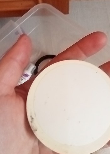 Pastel Bej Pudra - Görsel 2