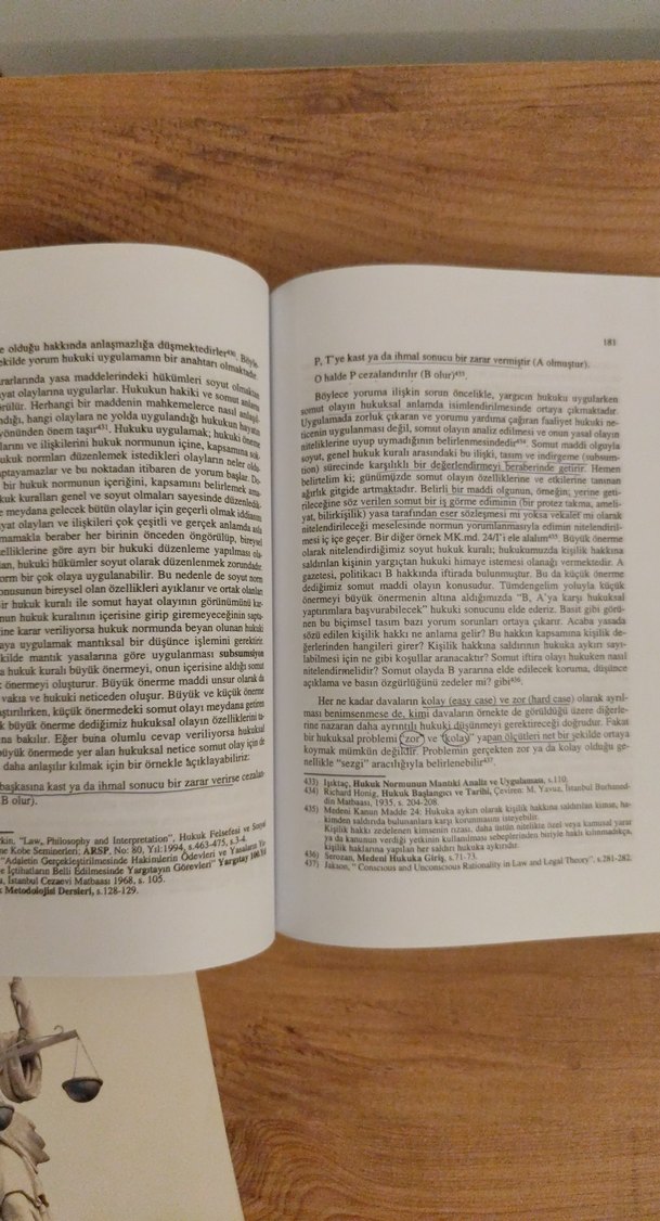 Hukuk Metodolojisi 2023 - Yasemin Işıktaç & Sevtap Metin - Görsel 4