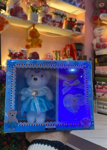 Renkli Peluş Ayıcık Seti ışıklı - Görsel 4