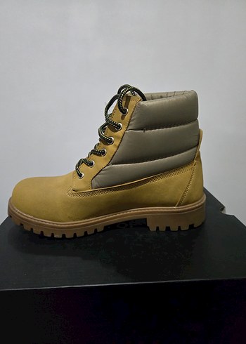 Erkek cat Bot - Görsel 2