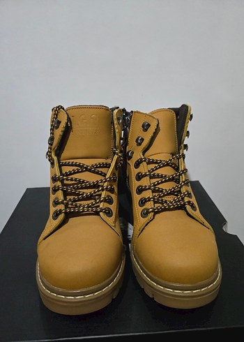 Erkek Cat Bot - Görsel 3