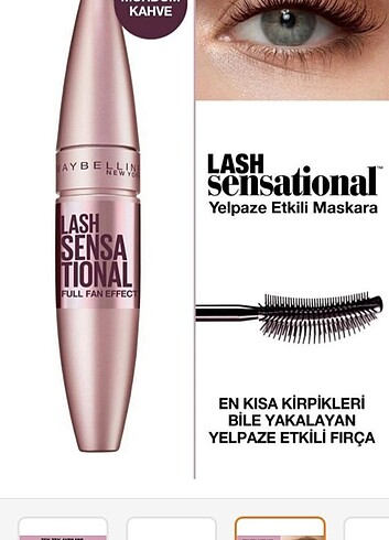 Maybelline New York 