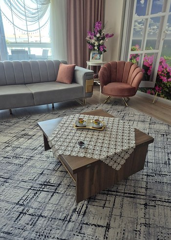 Pembe ve Gri koltuk takımı - Görsel 2