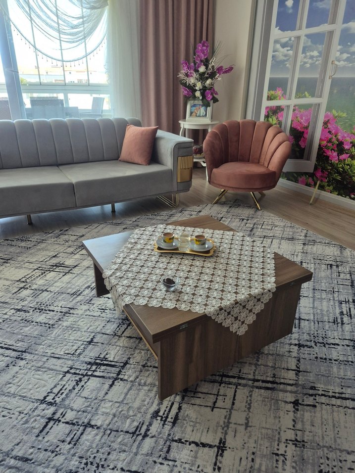 Pembe ve Gri koltuk takımı - Görsel 2