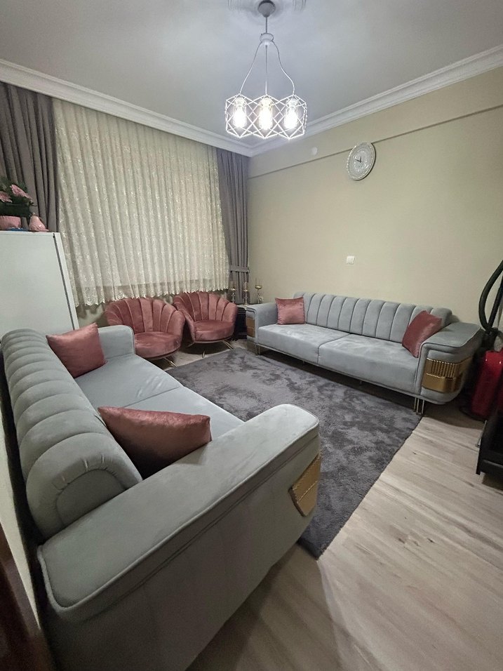 Pembe ve Gri koltuk takımı - Görsel 4