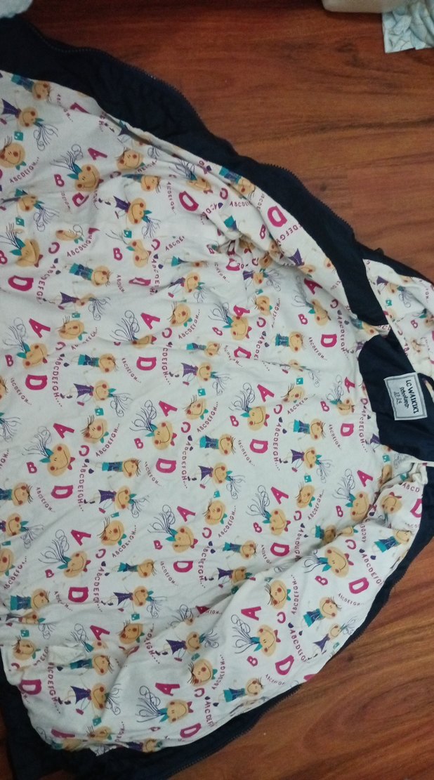 Kapüşonlu Mavi Rüzgarlık - Görsel 2