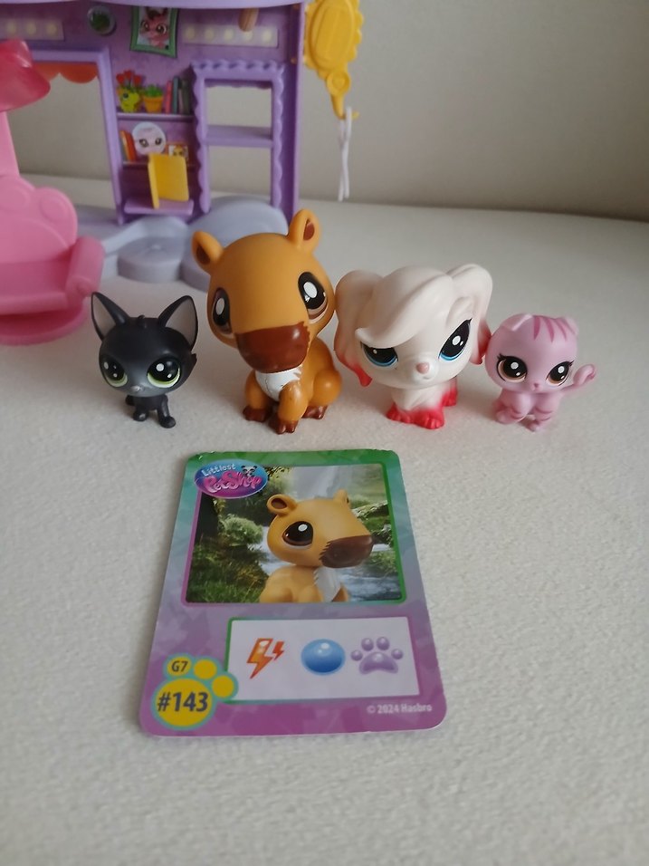 lps miniş pet kuaförü - Görsel 3