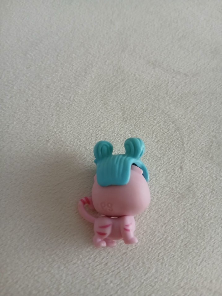 lps miniş pet kuaförü - Görsel 5