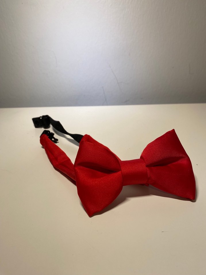 Kırmızı Çocuk Saten Papyon - Görsel 2
