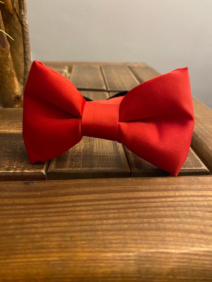 Kırmızı Çocuk Saten Papyon - Görsel 3