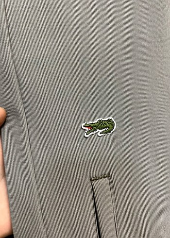 Füme Erkek Eşofman Altı - Görsel 2