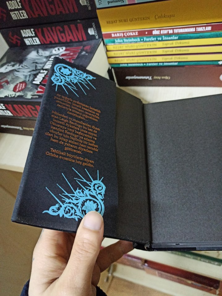 Dikenlerin Dili - Leigh Bardugo - Görsel 2