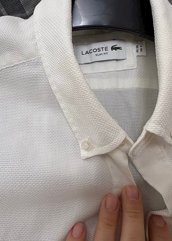 Lacoste S beden slim fit - Görsel 4