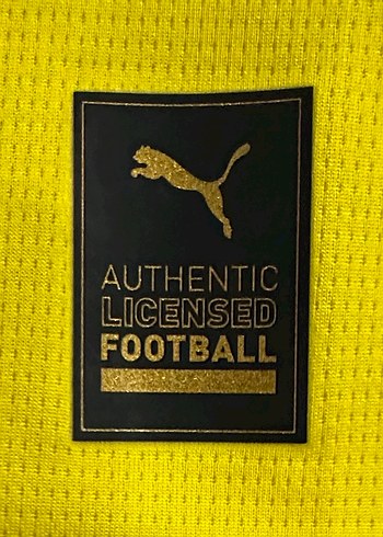 Orijinal Dortmund 2021-2022 Forması (M) - Görsel 3