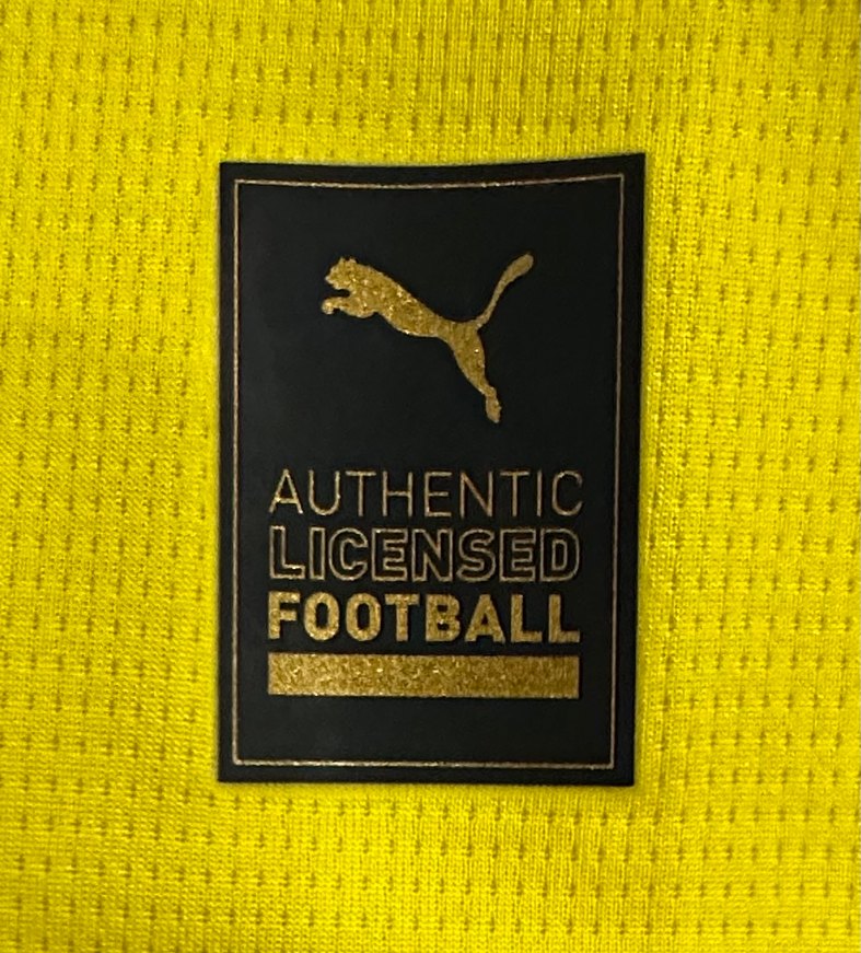 Orijinal Dortmund 2021-2022 Forması (M) - Görsel 3