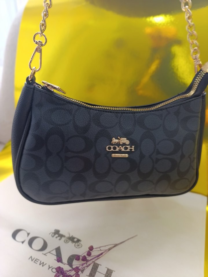 Coach Terry Zincir Detaylı Çanta - Görsel 5