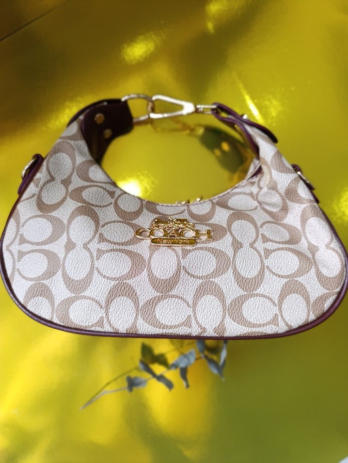 Coach mini bag - Görsel 2