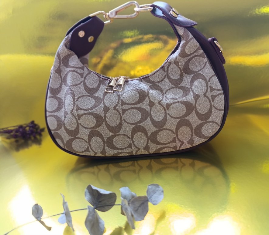 Coach mini bag - Görsel 3