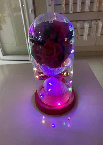 Kırmızı Cam Fanus İçinde Renkli Yapay Gül büyük boy - Görsel 2