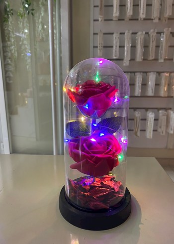 Kırmızı renk çift güllü cam fanus büyük boy - Görsel 2