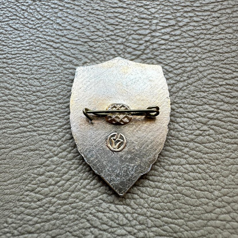 Sovyet Rus Askeri Ukrayna Rozet Bröve - Görsel 3